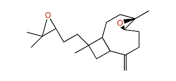 4,5,14,15-Diepoxy-8(19)-xeniaphyllene